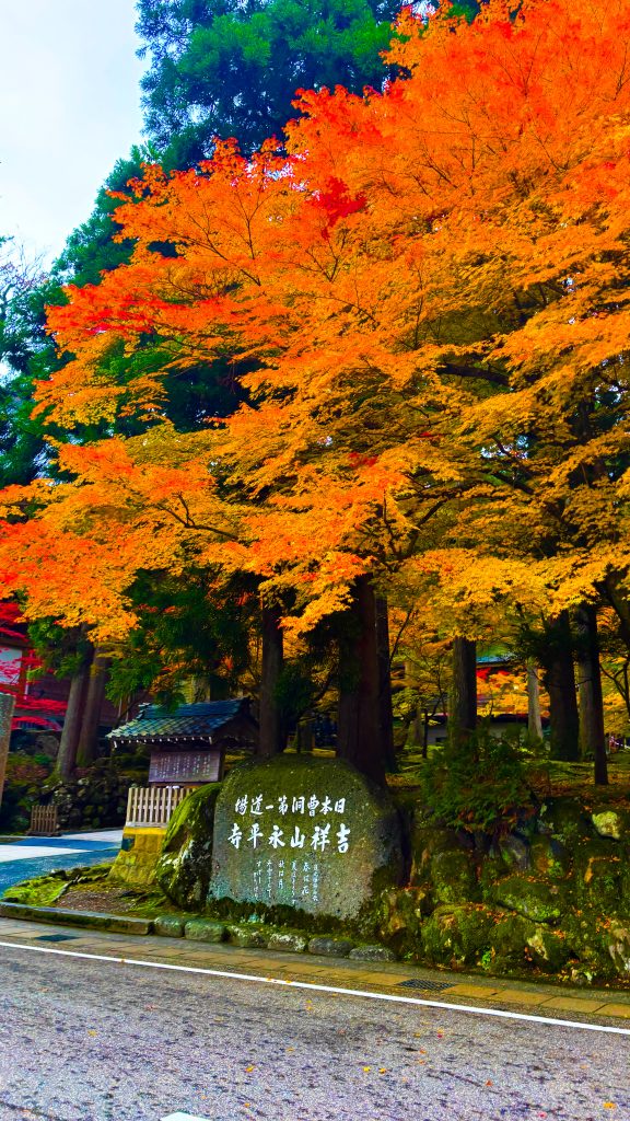 永平寺の写真