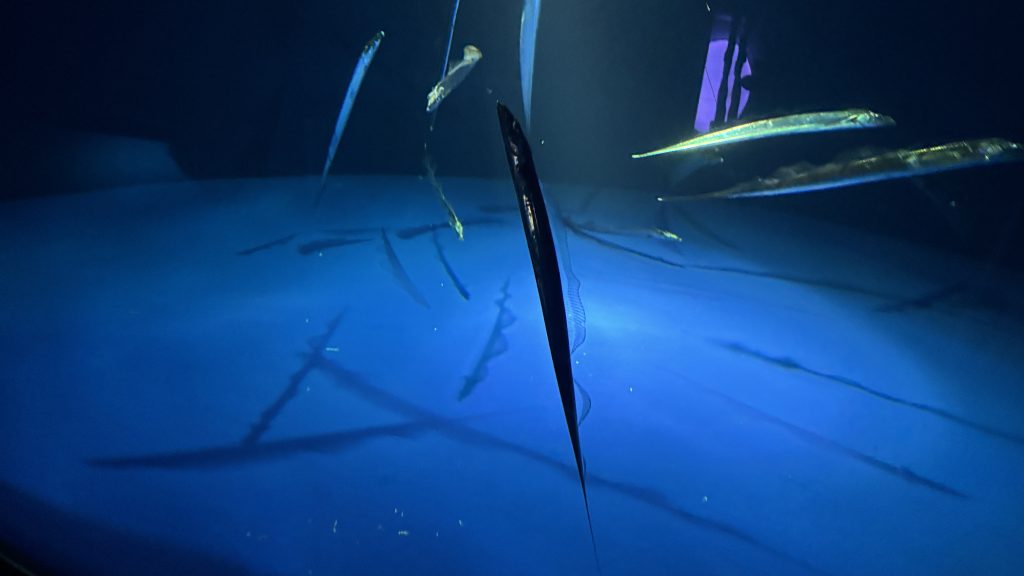 サンシャイン水族館