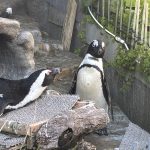 サンシャイン水族館