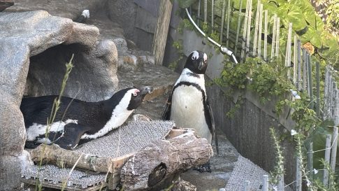 サンシャイン水族館