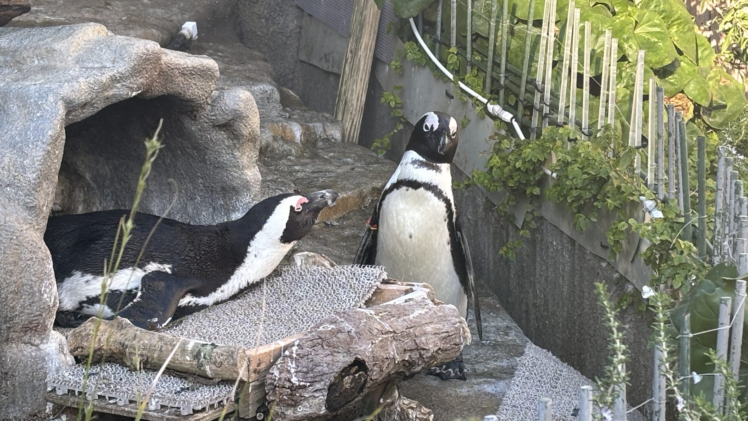 サンシャイン水族館